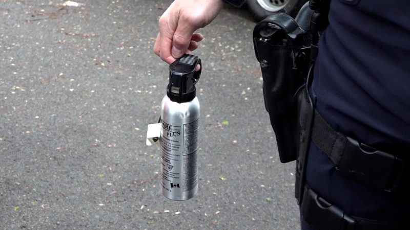 Gefährliche Verwechslung: Handwerker mit Tierabwehrspray attackiert! (Foto: SAT.1 NRW)