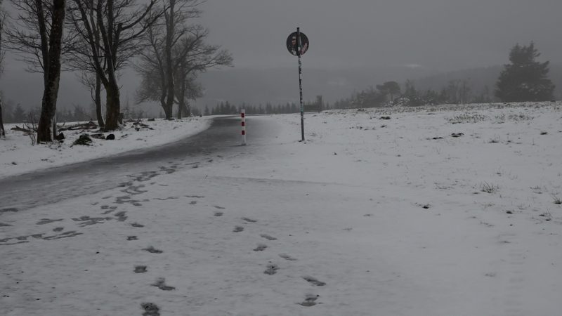 Der April macht, was er will: Sommergefühle am Limit? (Foto: SAT.1 NRW)