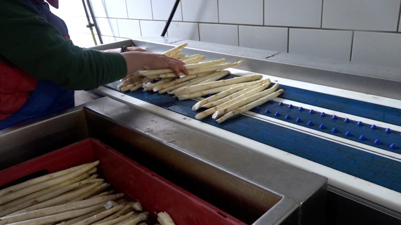 Wo bleibt der Spargel? (Foto: SAT.1 NRW)