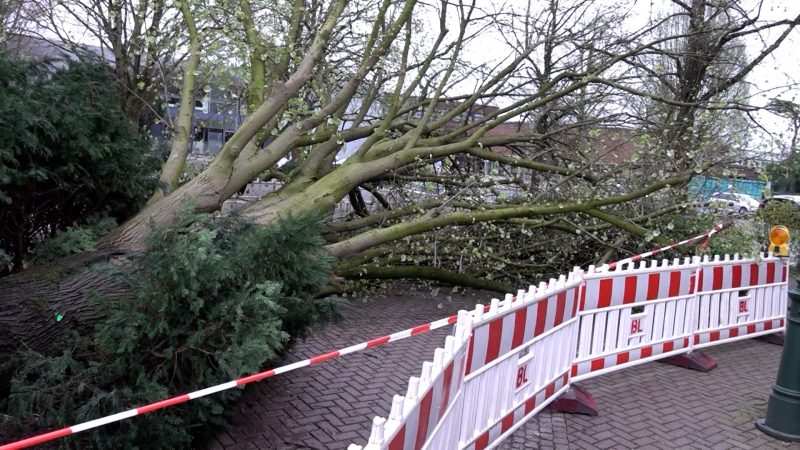 Tornado in Korschenbroich? (Foto: SAT.1 NRW)