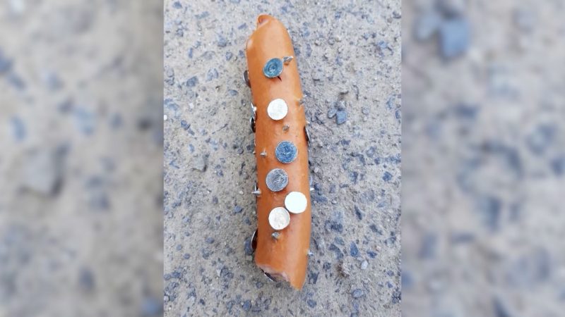 Gefährliche Hundeköder ausgelegt (Foto: SAT.1 NRW)