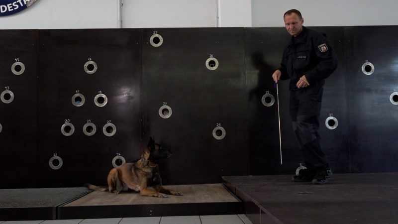 Spürhundetraining (Foto: SAT.1 NRW)