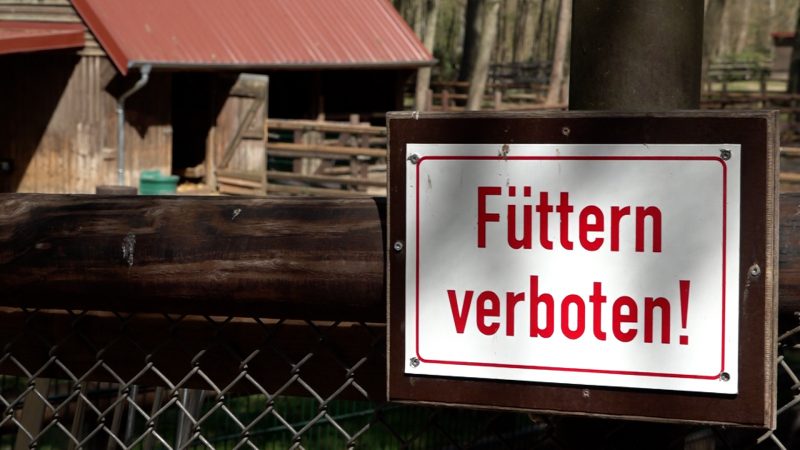 Ziege stirbt nach Fütterung durch Besucher (Foto: SAT.1 NRW)