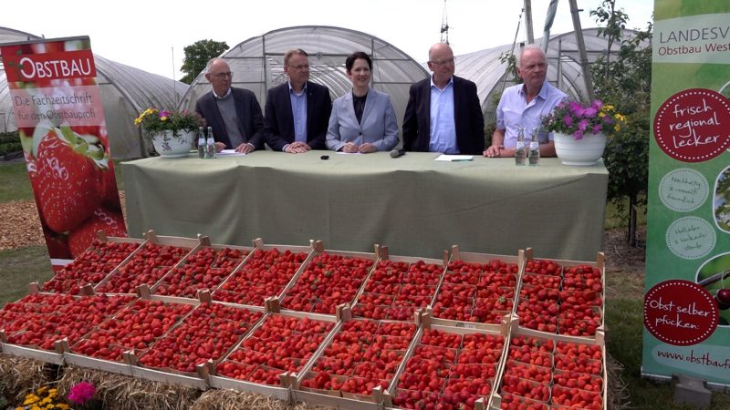 Frisch vom Feld – direkt ins Herz (Foto: SAT.1 NRW)