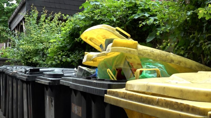 Ratten-Alarm in Bottrop (Foto: SAT.1 NRW)