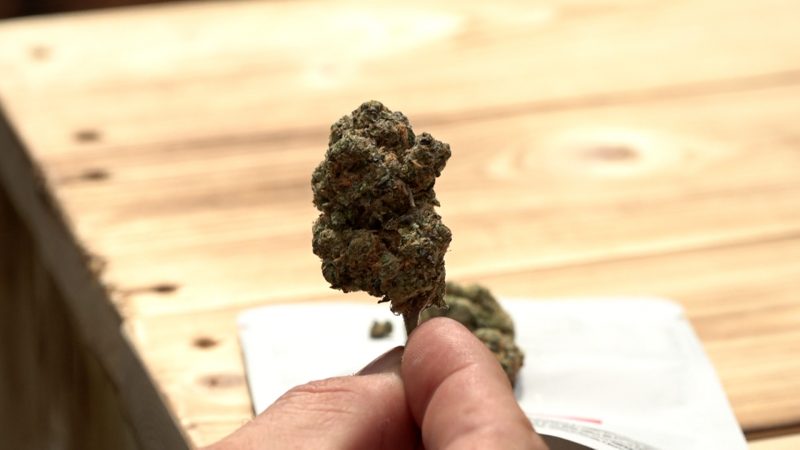 Cannabis-Clubs in NRW auf Wachstumskurs (Foto: SAT.1 NRW)