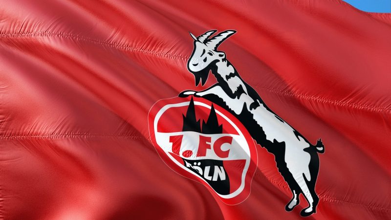 Lukas Kwasniok ist der neue Trainer des 1.FC Köln (Foto: SAT.1 NRW)