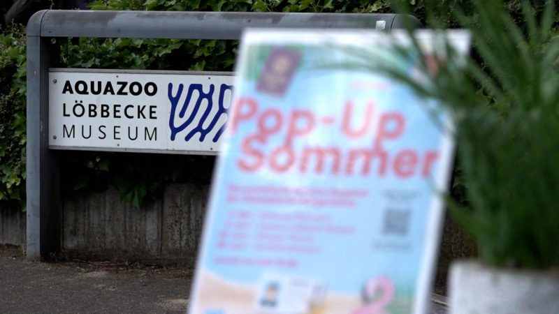 Pop-Up-Bürgerbüros in Düsseldorf (Foto: SAT.1 NRW)