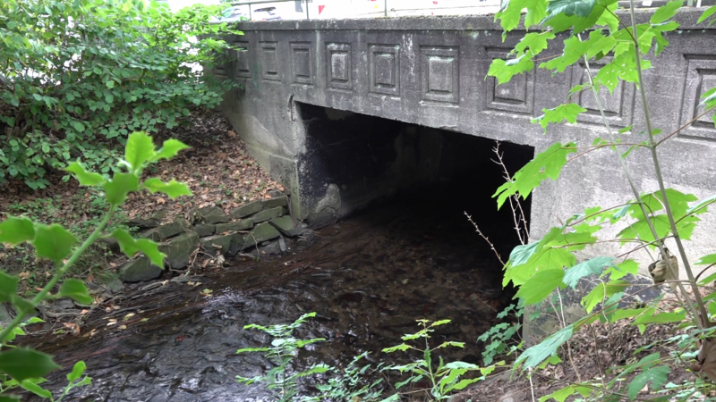 Brücke dicht – Anwohner demonstrieren (Foto: SAT.1 NRW)