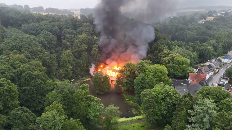 Feuer im Solinger Märchenwald (Foto: SAT.1 NRW)