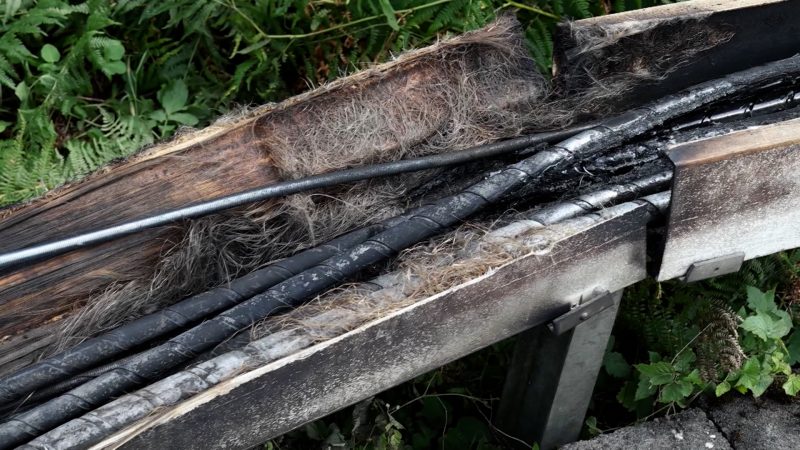 Linksextreme bekennen sich zu zweitem Brandanschlag (Foto: SAT.1 NRW)