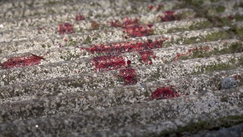 Schüsse nach Handy-Anruf: Prozessauftakt  (Foto: SAT.1 NRW)