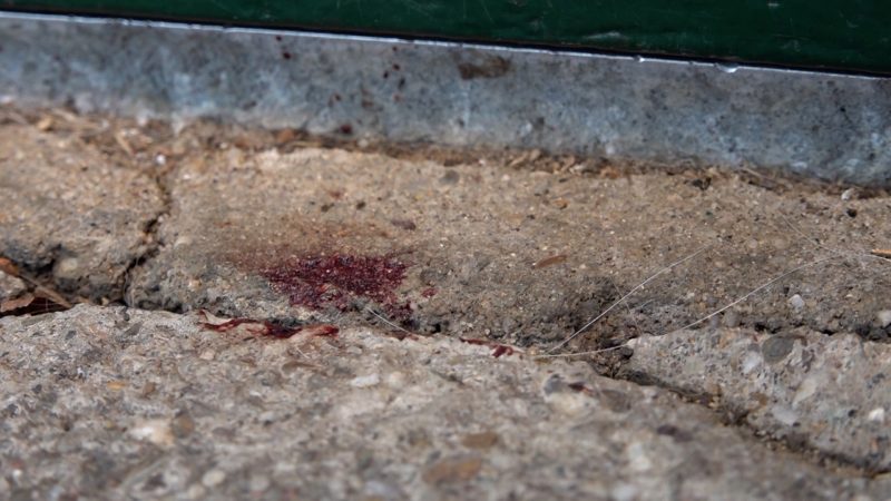 Ehemann sticht auf Ehefrau ein (Foto: SAT.1 NRW)