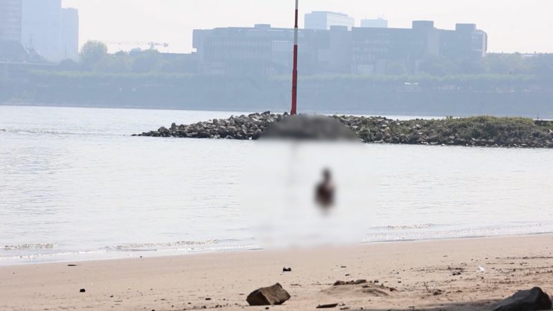 Rhein-Kontrolle nach Badeverbot (Foto: SAT.1 NRW)