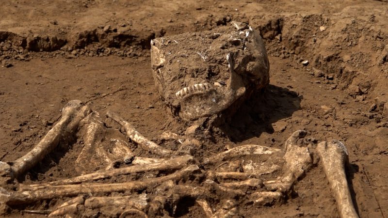 Archäologen entdecken gut erhaltene Skelette (Foto: SAT.1 NRW)