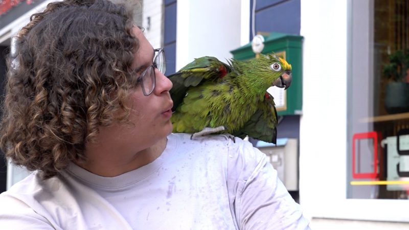 Papagei ist der bunteste Bewohner in Erkelenz (Foto: SAT.1 NRW)