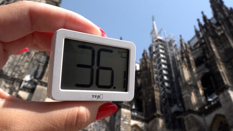 Wer holt den NRW-Hitzetitel? (Foto: SAT.1 NRW)