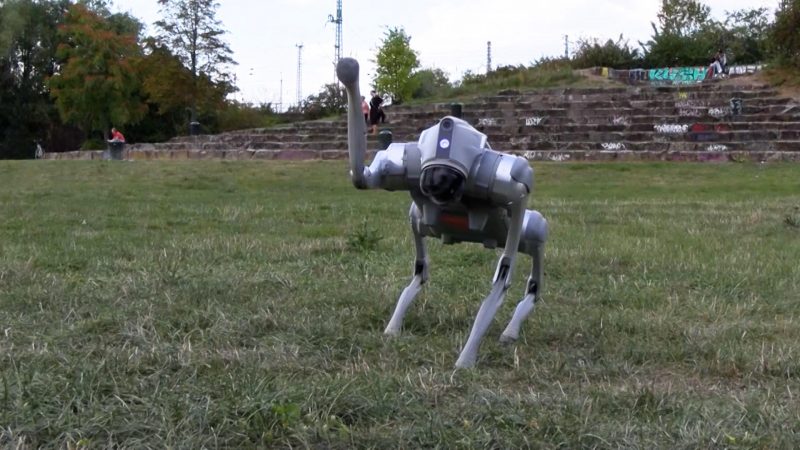 Roboterhund „Equi“ sorgt in Köln für Faszination und Fremdscham (Foto: SAT.1 NRW)
