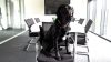 Bielefeld: Hunde im Büro erwünscht (Foto: SAT.1 NRW)