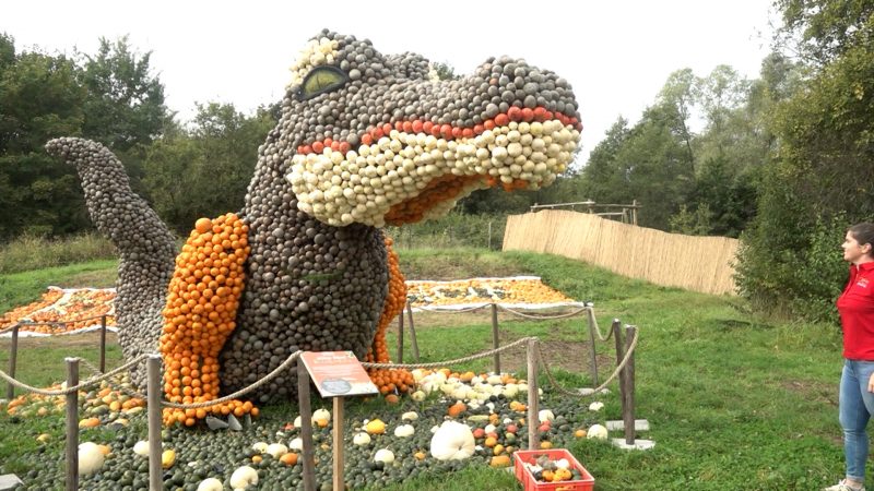 Kürbisfiguren auf dem Krewelshof (Foto: SAT.1 NRW)