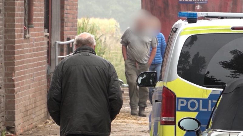Illegale Schlachtungen in NRW? Heimliche Aufnahmen schockieren (Foto: SAT.1 NRW)