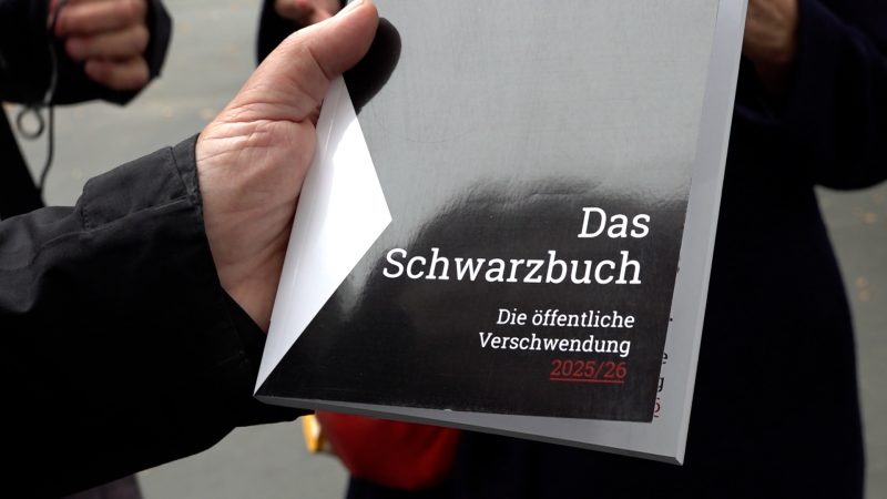 Schwarzbuch 2025: Steuerverschwendung in NRW – von Vogelgezwitscher bis Pyramidenbau (Foto: SAT.1 NRW)