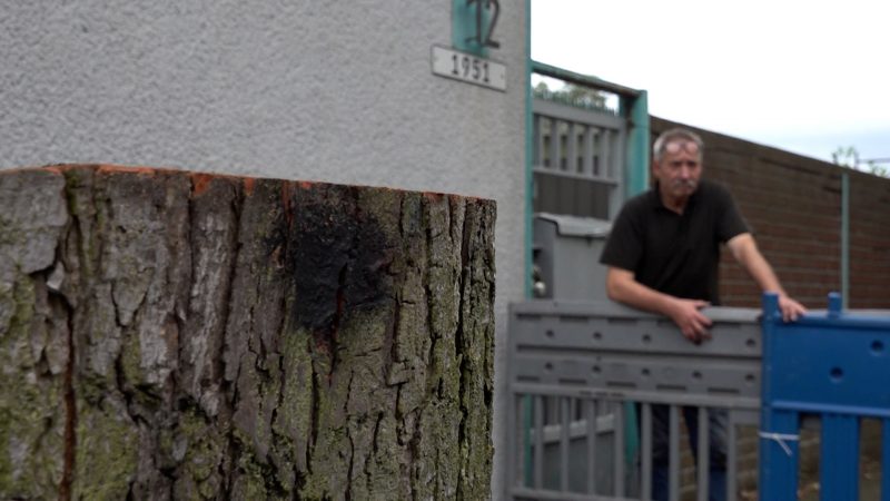 Duisburger KFZ-Werkstatt kämpft mit Wurzelschäden – 80.000 Euro Schaden und kein Ende in Sicht (Foto: SAT.1 NRW)