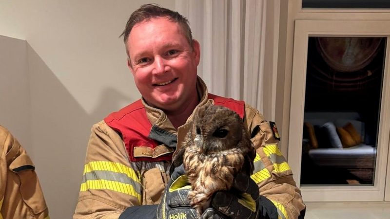 Tierischer Feuerwehreinsatz in Bergisch Gladbach  (Foto: SAT.1 NRW)