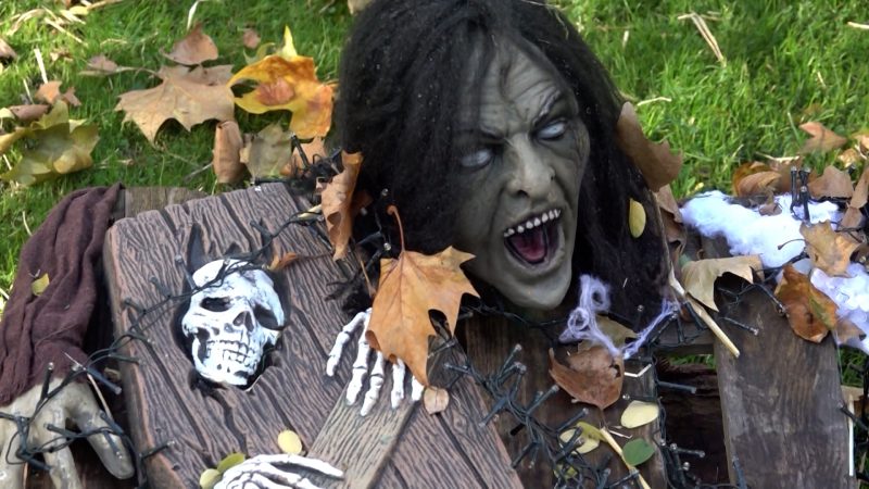 Halloween-Grinch zeigt Nachbarschaft an (Foto: SAT.1 NRW)
