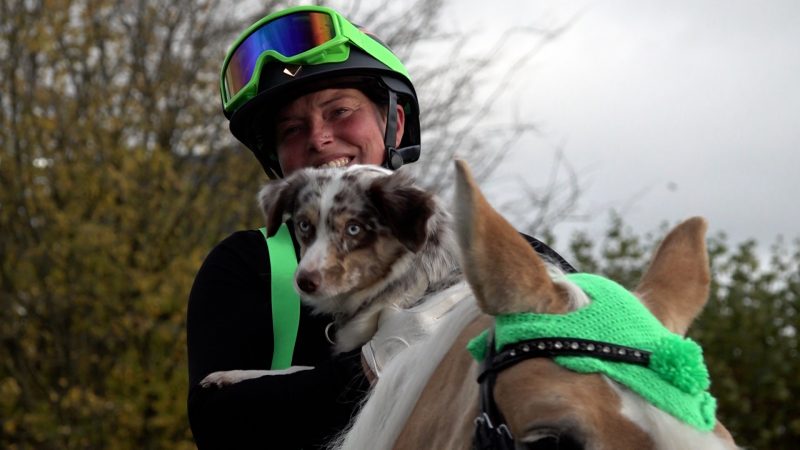 Vorgeschmack auf die Messe „Hund & Pferd“ in Dortmund (Foto: SAT.1 NRW)