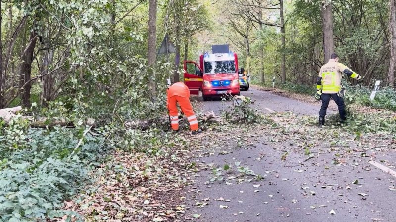 Sturmtief „Joshua“ sorgt für Wirbel über NRW (Foto: SAT.1 NRW)