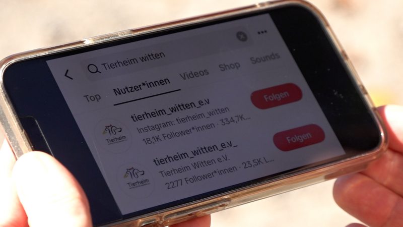 Wittener Tierheim warnt vor Spenden-Betrug im Netz (Foto: SAT.1 NRW)