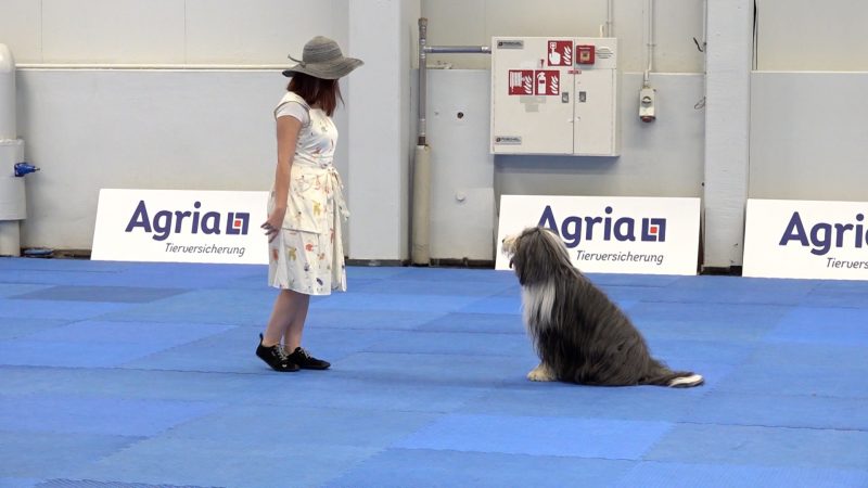 Dog Dancing in Dortmund (Foto: SAT.1 NRW)