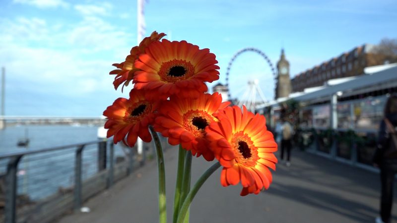Internationaler Tag der Freundlichkeit – kleine Gesten mit großer Wirkung (Foto: SAT.1 NRW)