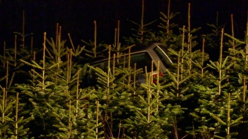 Stille Nacht, rasante Nacht: Verfolgungsjagd endet zwischen Tannenbäumen (Foto: SAT.1 NRW)