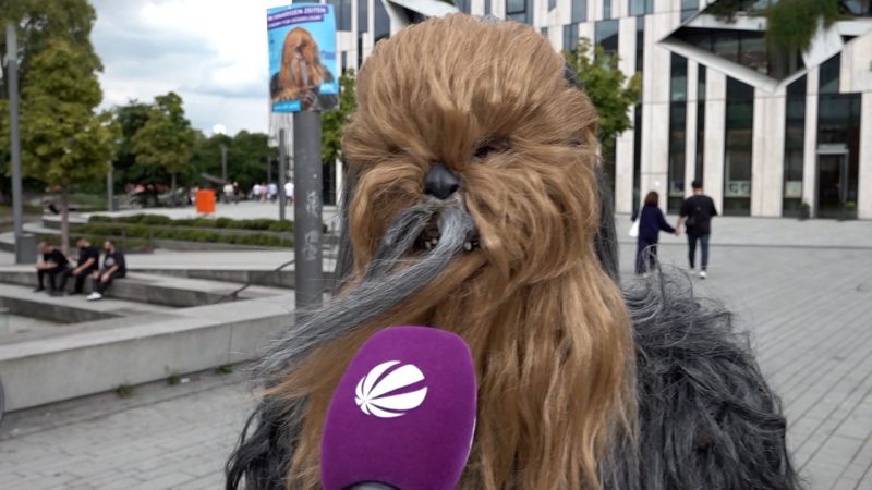 Chewbacca-Auftritt sorgt für Verwirrung (Foto: SAT.1 NRW)