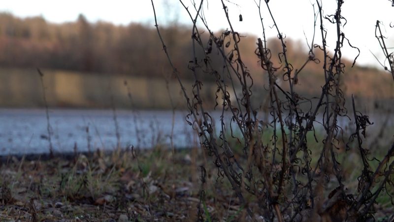 Nach Handfund bei Olpe: Leiche entdeckt (Foto: SAT.1 NRW)
