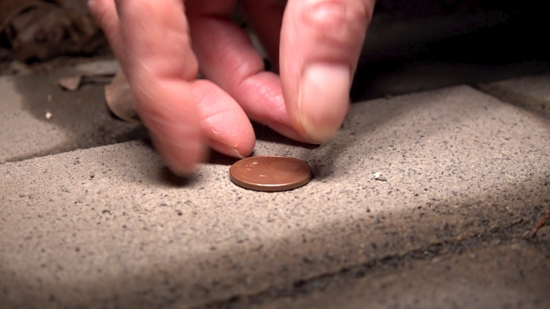 Düsseldorfer sammeln Centstücke für den guten Zweck (Foto: SAT.1 NRW)