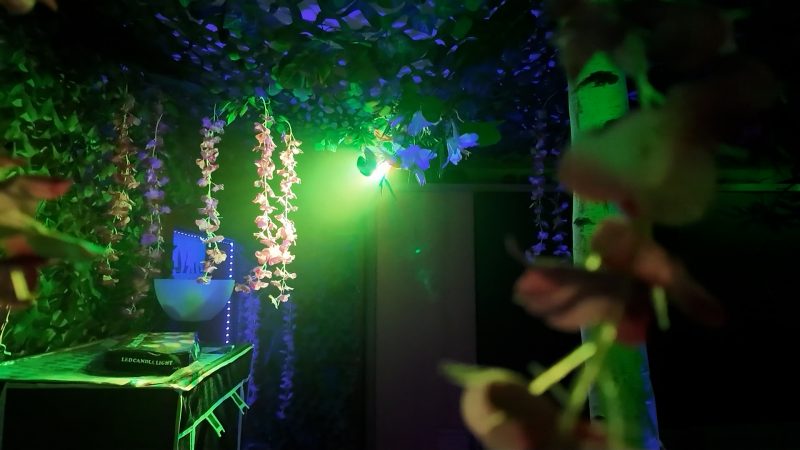 Freizeitpark in der Wohnung!? (Foto: SAT.1 NRW)