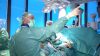 Neue Knie-Behandlung statt Prothese (Foto: SAT.1 NRW)